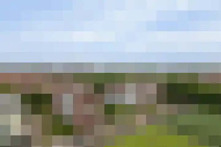 Royaards van den Hamkade 253 Utrecht thumbnail 26