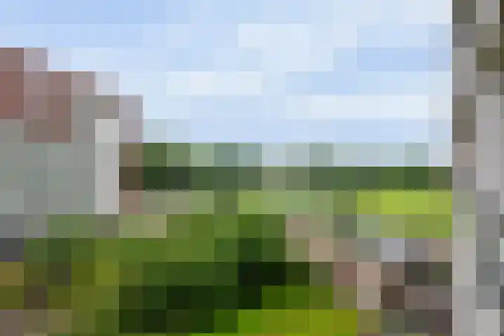 Royaards van den Hamkade 253 Utrecht thumbnail 28