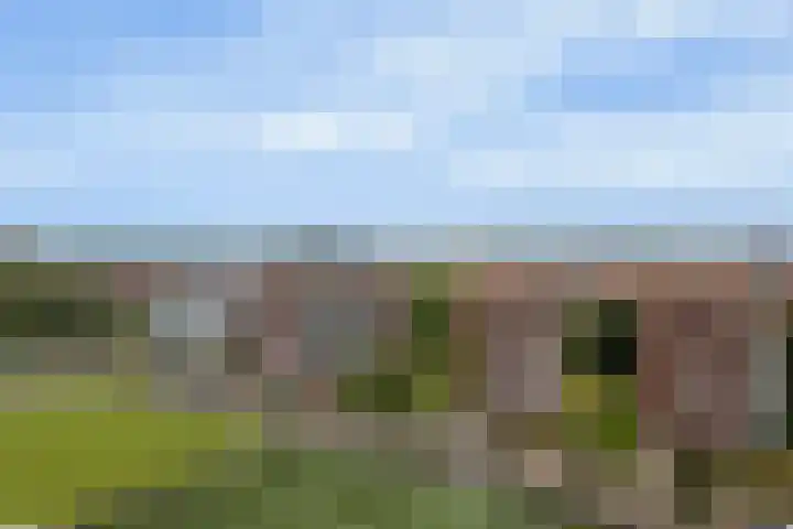 Royaards van den Hamkade 253 Utrecht thumbnail 31
