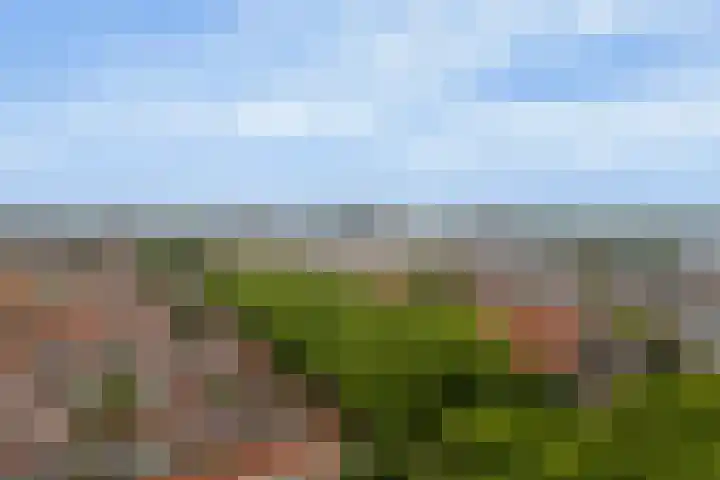 Royaards van den Hamkade 253 Utrecht thumbnail 32