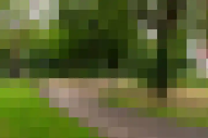 Royaards van den Hamkade 253 Utrecht thumbnail 33