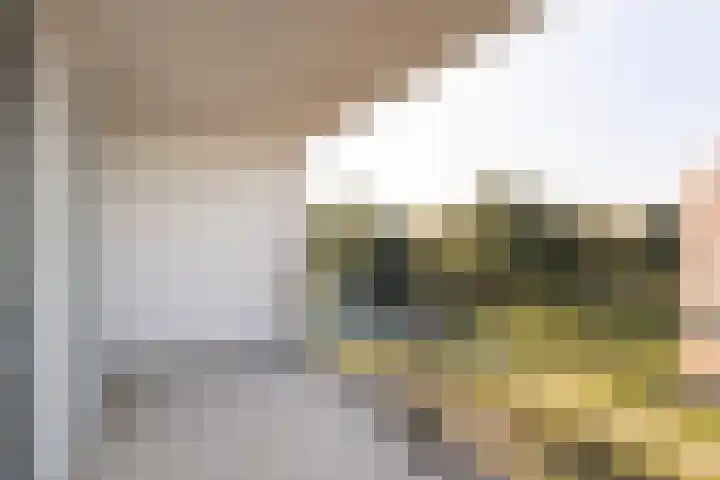 Royaards van den Hamkade 253 Utrecht thumbnail 36