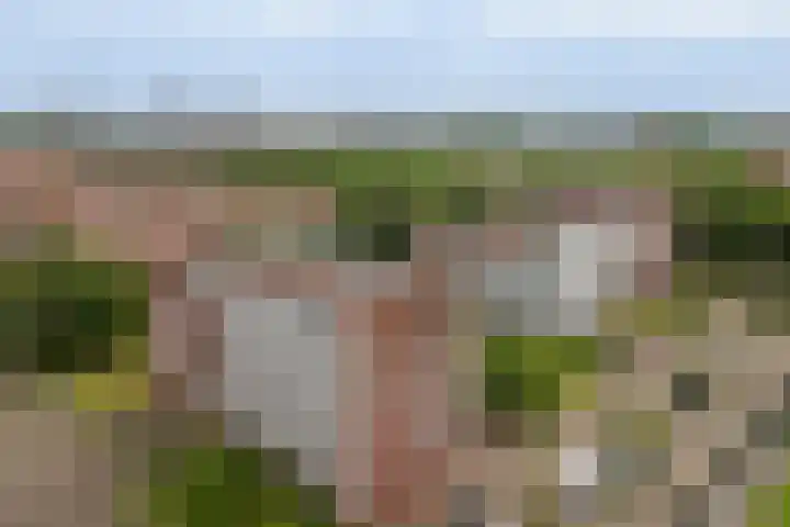 Royaards van den Hamkade 253 Utrecht thumbnail 44