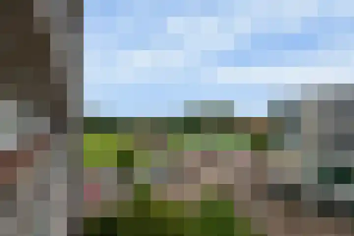 Royaards van den Hamkade 253 Utrecht thumbnail 49
