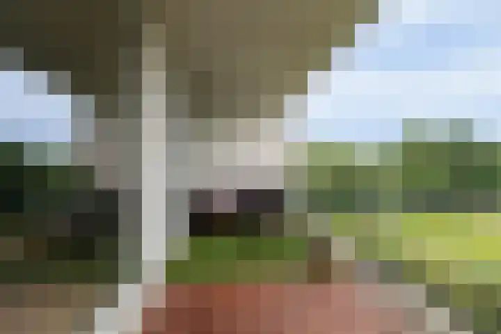 Royaards van den Hamkade 253 Utrecht thumbnail 5