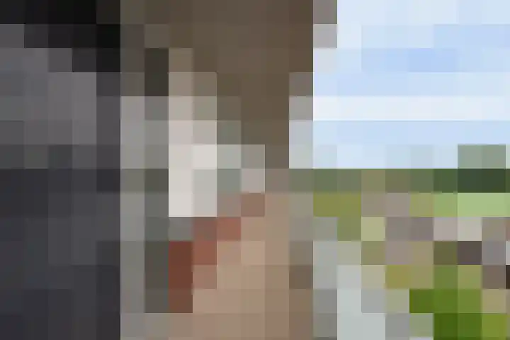 Royaards van den Hamkade 253 Utrecht thumbnail 7