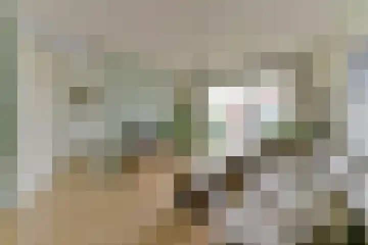 Royaards van den Hamkade 253 Utrecht thumbnail 8