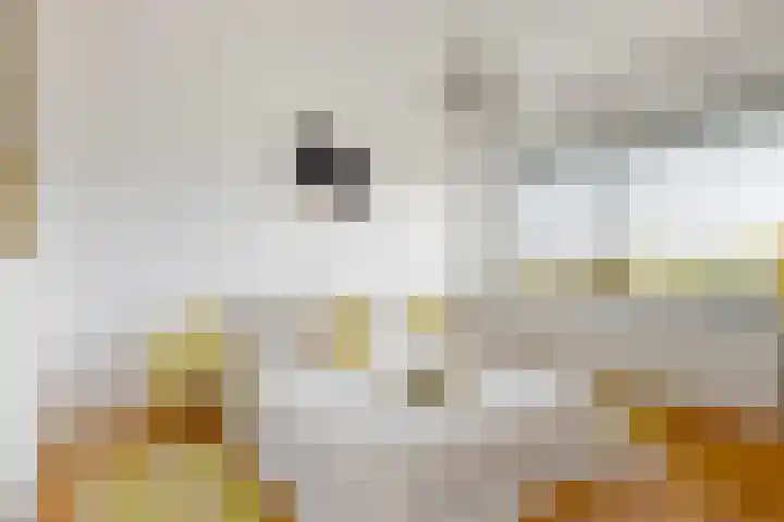 Royaards van den Hamkade 281 Utrecht thumbnail 14