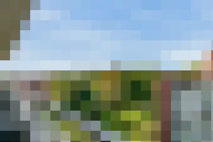 Royaards van den Hamkade 281 Utrecht thumbnail 7