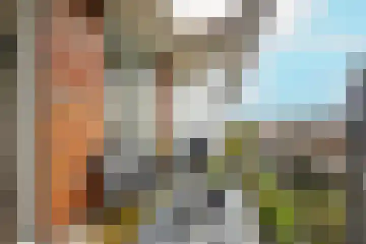 Royaards van den Hamkade 291 Utrecht thumbnail 16