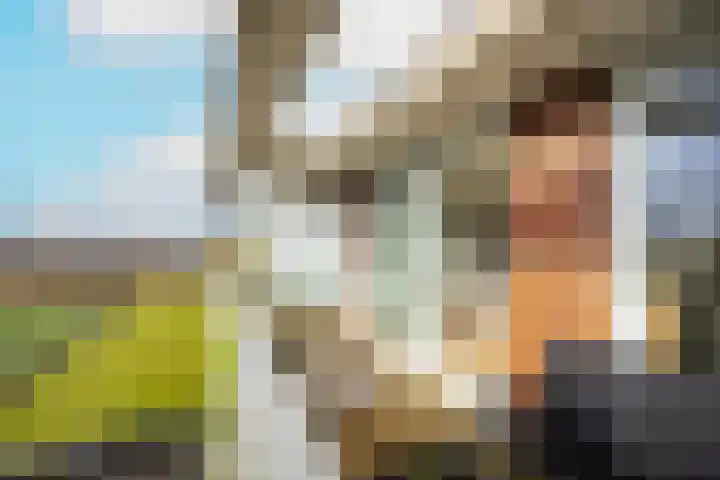 Royaards van den Hamkade 291 Utrecht thumbnail 17