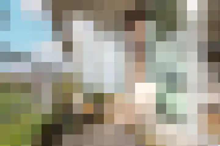 Royaards van den Hamkade 291 Utrecht thumbnail 18