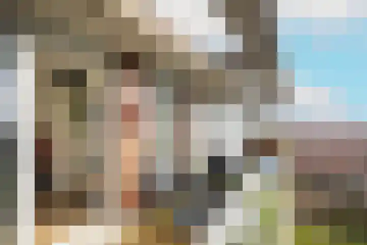 Royaards van den Hamkade 291 Utrecht thumbnail 19