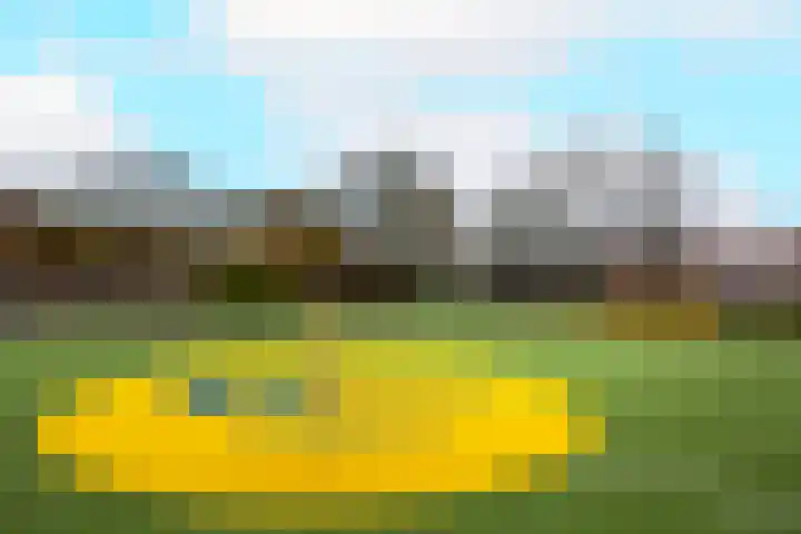 Royaards van den Hamkade 291 Utrecht thumbnail 42