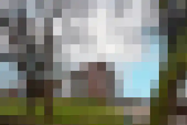 Royaards van den Hamkade 291 Utrecht thumbnail 7