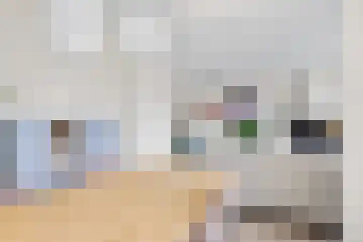 Royaards van den Hamkade 3 1 Utrecht thumbnail 15