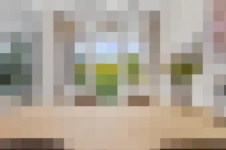 Royaards van den Hamkade 3 1 Utrecht thumbnail 16