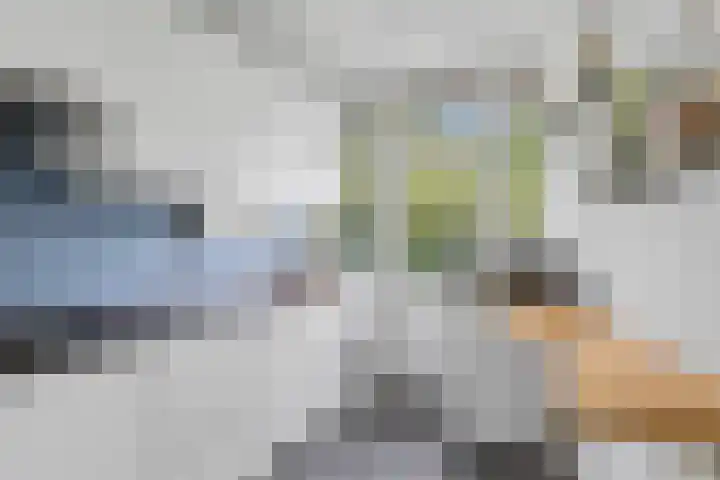 Royaards van den Hamkade 3 1 Utrecht thumbnail 20