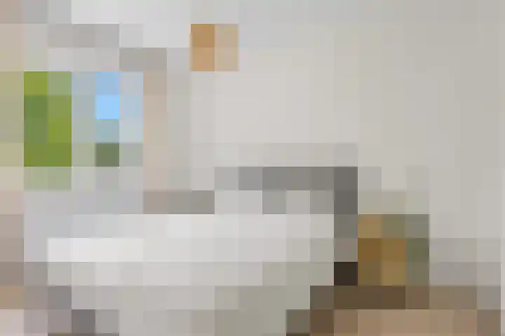 Royaards van den Hamkade 3 1 Utrecht thumbnail 29