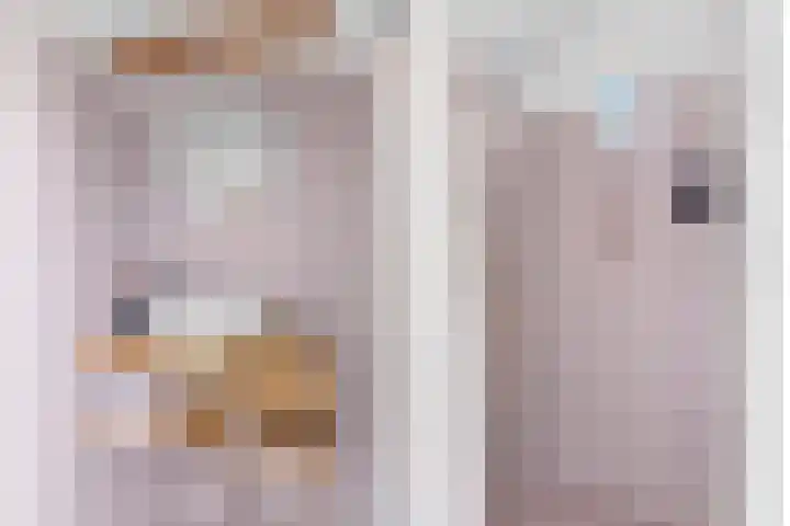 Royaards van den Hamkade 3 1 Utrecht thumbnail 35