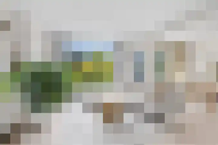 Royaards van den Hamkade 3 1 Utrecht thumbnail 6