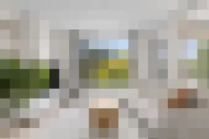 Royaards van den Hamkade 3 1 Utrecht thumbnail 7