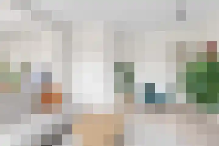 Royaards van den Hamkade 3 1 Utrecht thumbnail 8