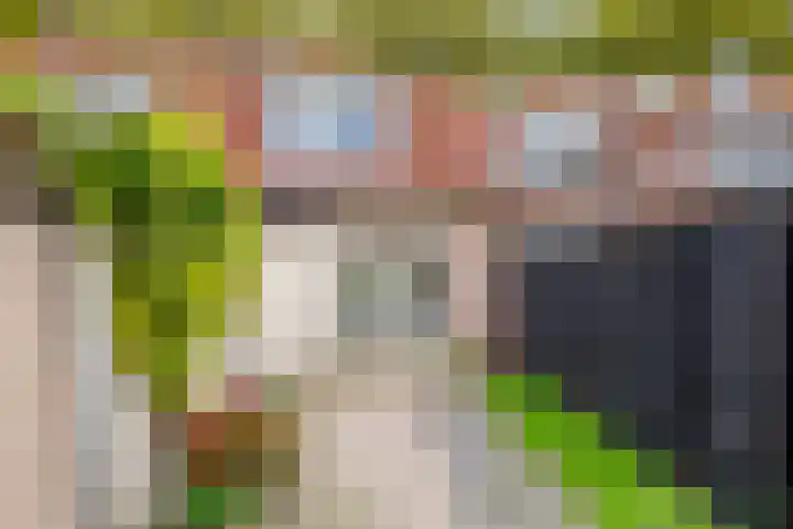 Royaards van den Hamkade 54 Utrecht thumbnail 31