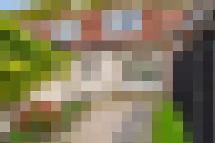 Royaards van den Hamkade 54 Utrecht thumbnail 32