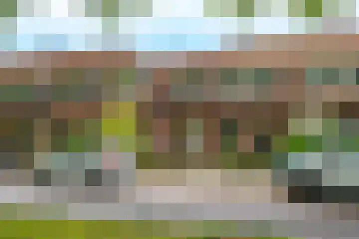 Royaards van den Hamkade 54 Utrecht thumbnail 33