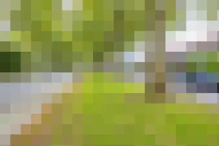 Royaards van den Hamkade 54 Utrecht thumbnail 34