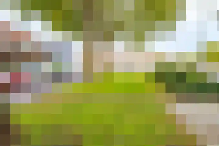Royaards van den Hamkade 54 Utrecht thumbnail 35