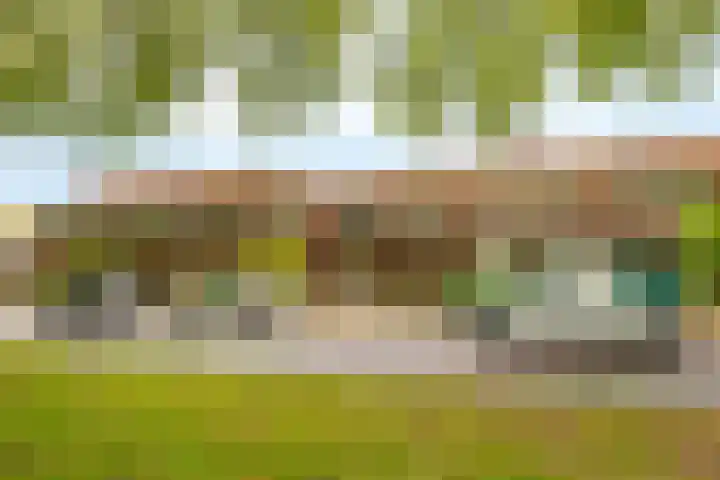 Royaards van den Hamkade 54 Utrecht thumbnail 5