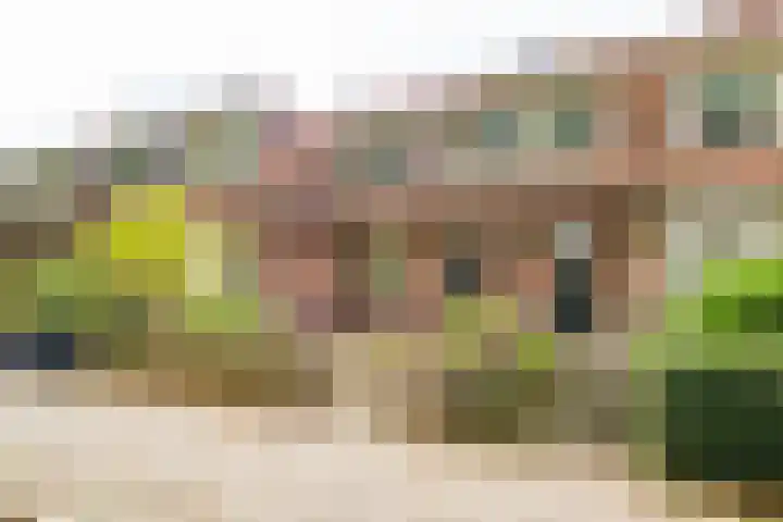 Royaards van den Hamkade 54 Utrecht thumbnail 6