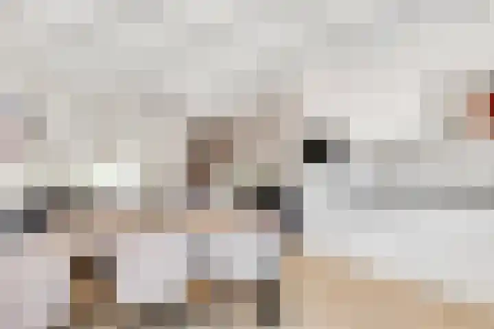 Royaards van den Hamkade 59 Utrecht thumbnail 12