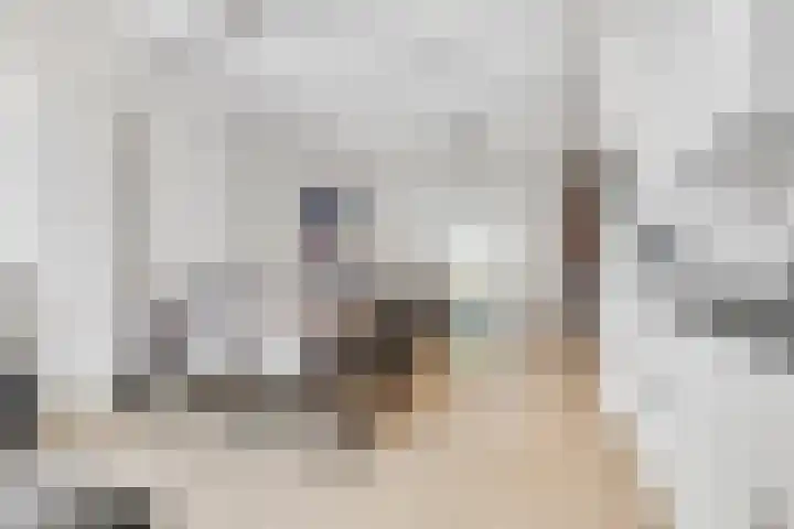 Royaards van den Hamkade 59 Utrecht thumbnail 13