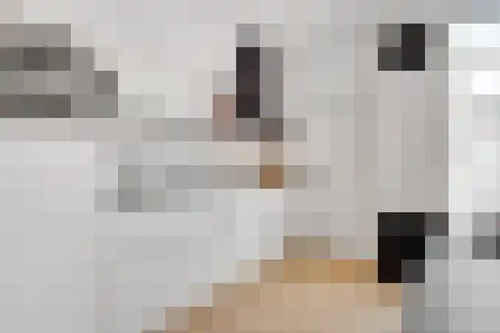 Royaards van den Hamkade 59 Utrecht thumbnail 15