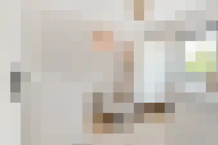 Royaards van den Hamkade 59 Utrecht thumbnail 24