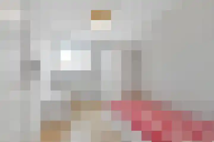 Royaards van den Hamkade 59 Utrecht thumbnail 27