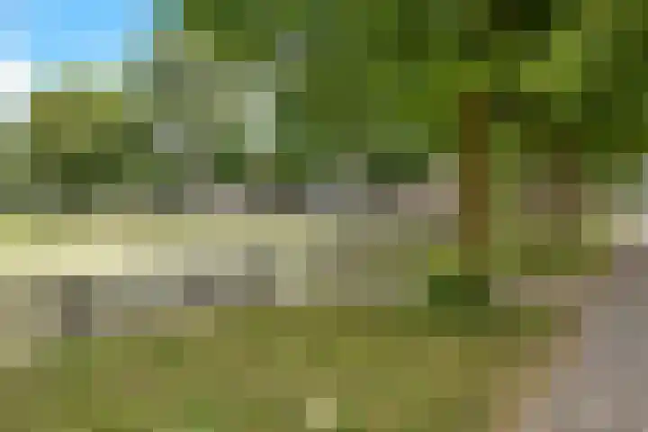 Royaards van den Hamkade 59 Utrecht thumbnail 42