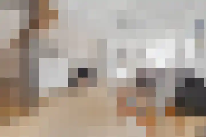 Royaards van den Hamkade 59 Utrecht thumbnail 8