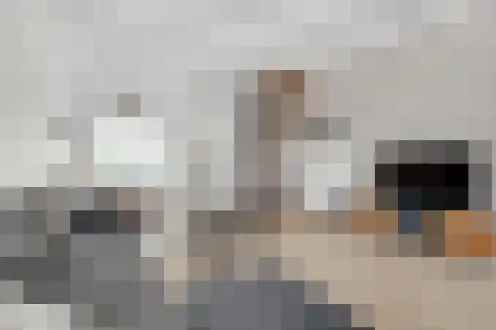 Royaards van den Hamkade 59 Utrecht thumbnail 9