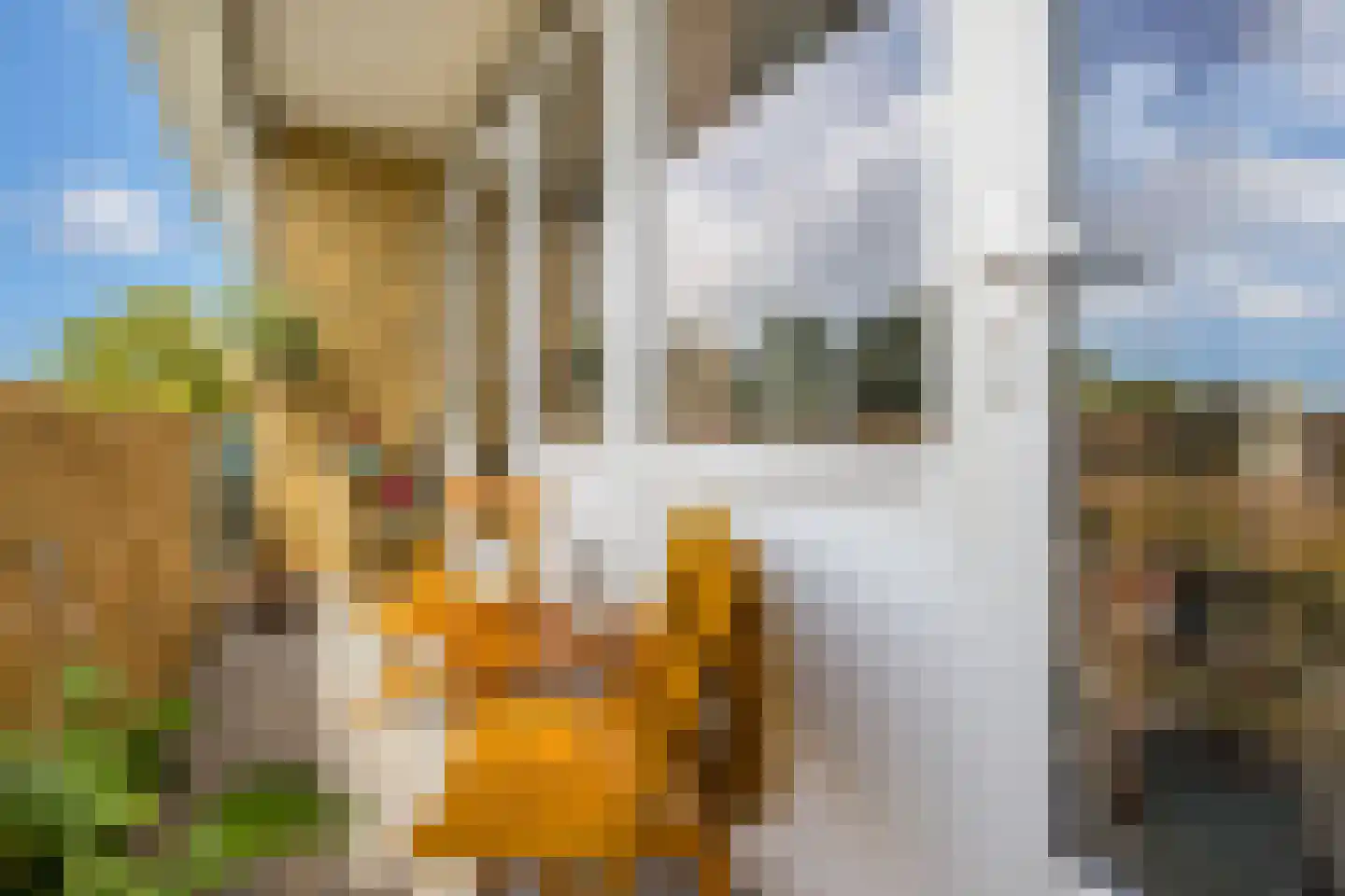 Royaards van den Hamkade 7 2 Utrecht thumbnail 15