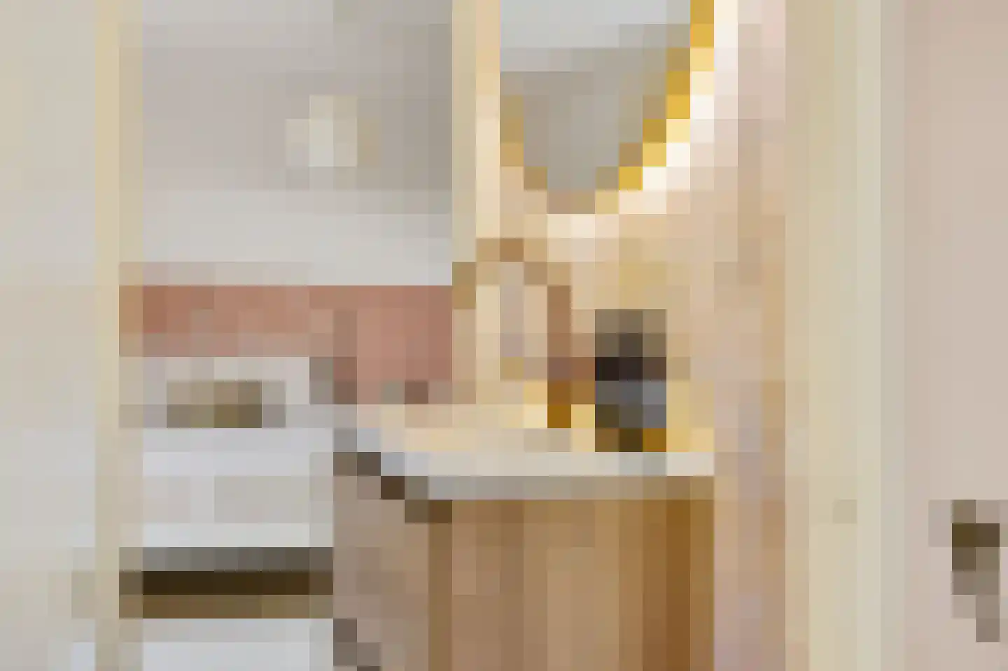 Royaards van den Hamkade 7 2 Utrecht thumbnail 31