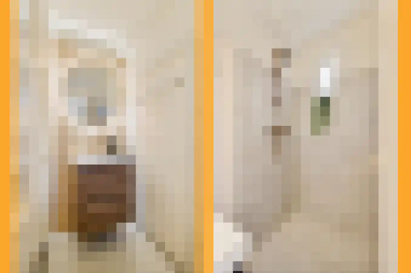 Royaards van den Hamkade 7 2 Utrecht thumbnail 32