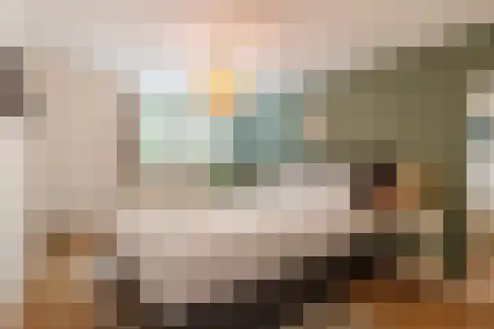 Royaards van den Hamkade 74 Utrecht thumbnail 11