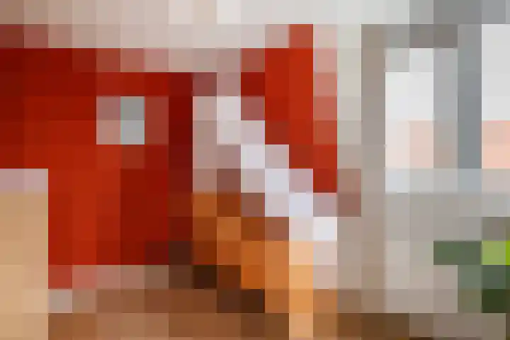 Royaards van den Hamkade 74 Utrecht thumbnail 14