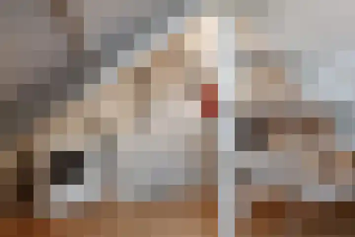 Royaards van den Hamkade 74 Utrecht thumbnail 17