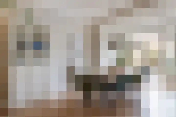 Royaards van den Hamkade 74 Utrecht thumbnail 5
