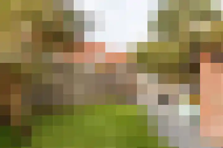 Royaards van den Hamkade 74 Utrecht thumbnail 8